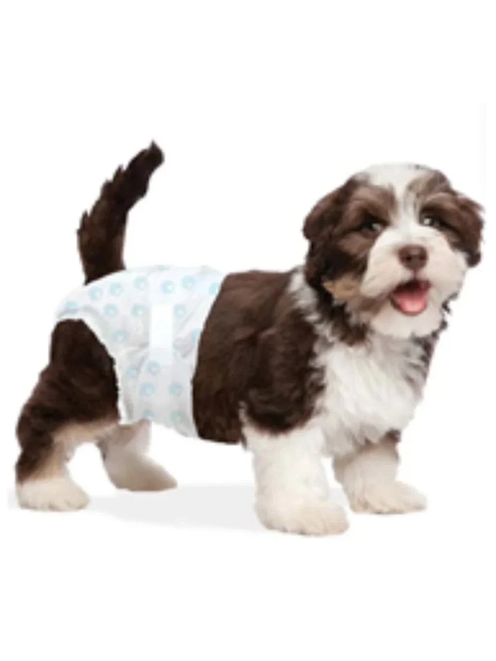 NWT ~ Wee-Wee Disposable Dog Diapers, X-Small, Waist up to 12